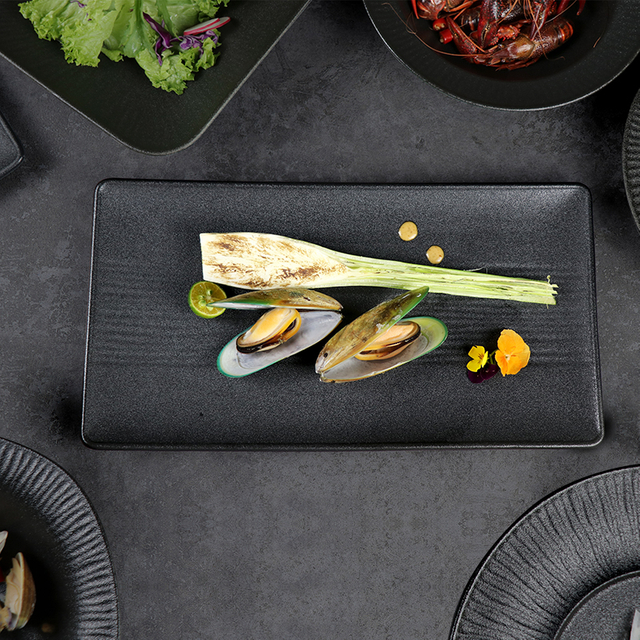Plato rectangular de porcelana, vajilla, nuevo diseño Matt Frosting, placa negra para restaurante