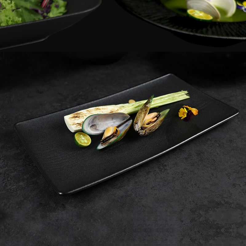 Plato rectangular de porcelana, vajilla, nuevo diseño Matt Frosting, placa negra para restaurante