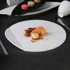 Plato de cena de cerámica de la placa formada redonda irregular de Matt de la porcelana para el restaurante
