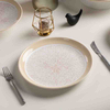 Vajilla de porcelana comercial