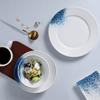 Juego de vajilla de suministro de hotel de fábrica de porcelana, juego de platos de pasta y mariscos, juego de vajilla con plato de vieiras para restaurante