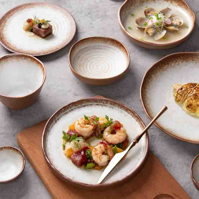 Fabricante de vajillas de porcelana para platos de restaurante comercial